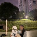 하버스케이트보드 | 대전 스케이트보드 입문 후기 | 독학은 실패, 결국 하버스케이트보드 찾아갔습니다