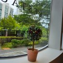 모울식당 이미지