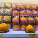 헤이애월둘 이미지