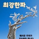 입춘 한파에 감기 조심하세요 이미지