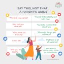 Say This, Not That : A Parent's Guide 이미지