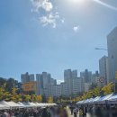 동남자원 | 2025 청수 호수 공원 차 없는 도심 축제 다녀온 후기