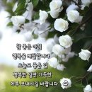 정신 차려봅니다.. 이미지