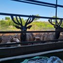 영산강농장 이미지