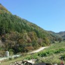 두대농장 이미지