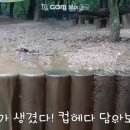 지양산 해맞이마을 이미지