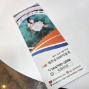 글라스안경 서귀포점 | 제주도 이색체험 서귀포 액티비티 아이와 함께 즐길 수 있는 유리바닥보트 꿀팁 솔직후기