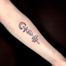 베그비실(Vegvisir) 이미지