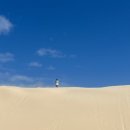 자유여행영어 이미지