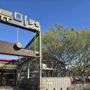 전호목장 | 춘천 동내면 카페 아이와 반려동물 동반가능한 힐링하기 좋은 "와이어드커피"