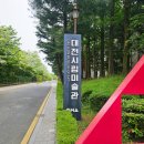 (주)위앤디오에스 | 대전시립미술관 앤디 워홀 전시회 일정 입장료 굿즈 정보