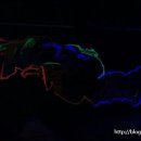 테크노공원로 이미지