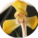 옹기사랑 꽃사랑 이미지