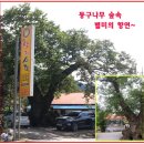 명낙지사랑