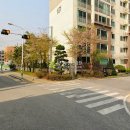 송정동 55-3 이미지