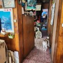 선화당 화장실 이미지