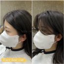 비쥬얼봄 네이버블로그