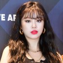 수진글로벌 이미지