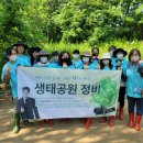주원 카카오 검색결과