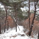 사기소천 이미지