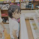 6월/문구사에 다녀왔어요(4세, 5세) 이미지