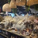 수원-0260 이미지