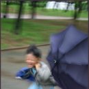 장골로가로수 이미지