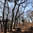 성왕산등산로 이미지