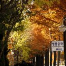 영통중학교 이미지