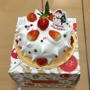 클럽미즈라미체의원 | 25년 12월 연말일기 / 생일 / 피티투그로우 / 목포출장 / 쿠자 / 오늘의기쁨 / 클럽미즈라미체의원