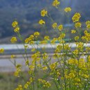 고려촌문화체험길 이미지