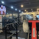 로얄바디피트니스 네이버블로그