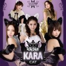 카라피시방 이미지