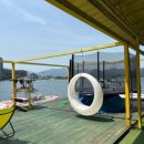 웨이크벨리 | 가평 웨이크보드 강습 추천! 비비토킨 강습 + 강아지와 즐기는 '미친수상레저' 후기' 내돈내산 후기