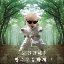 마이프랜드153 | 고양이 아크릴유리식기 / 강아지높이조절밥그릇 / 노령견밥그릇 _ 굿바이마이프렌드에서 알려드려요 !!!!