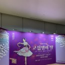 박종석 농장 2 | [발레공연] 국립발레단 고집쟁이 딸