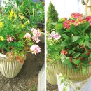 정원속의집 이미지