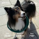 종로-신영-종로-영-117 | 설날, (260216-260222)