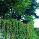 스피치의달인2 이미지