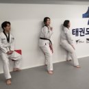 태권도 다움 이미지