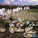 고성농요 정기공연 이미지