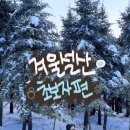 태기산마을 | 겨울 설산 : 난이도 하! 초보등산러 눈꽃길 트래킹코스 총정리!(태기산, 선자령, 인제 자작나무숲)