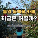 꽃들의 미소 | 통영 동백꽃 카페 아르세 카페｜사계절 꽃 정원, 동백꽃 시즌 방문 후기
