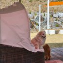 중흥골드스파&리조트 수영장 이미지