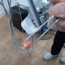 배산치과의원 | [사랑니 발치] 치과가기 두려운 마음 해결