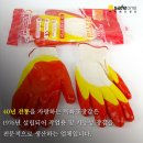 목화표장갑 이미지