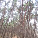 천상고등학교 이미지