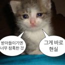 (주)비즈글로리 이미지