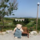 백제목장 이미지