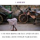 구도 Daum카페